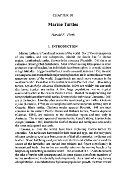 Marine turtles - Pacific Community