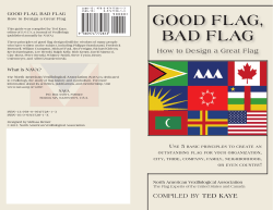 GOOD FLAG - BAD FLAG by Ted Kaye