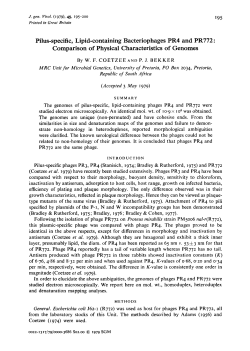 Pilus-specific, Lipid-containing Bacteriophages PR4 and PR772