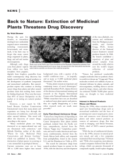 Nature: Extinction of Medicinal Plants Threatens Drug Discovery