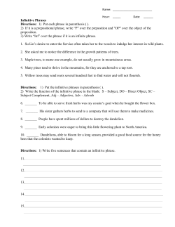 Infinitive Phrase worksheet