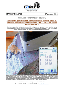 Download/View