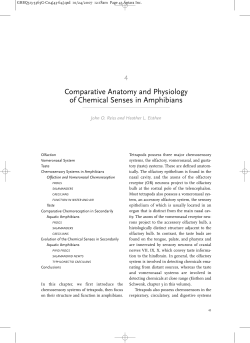 Comparative Anatomy and Physiology of Chemical Senses in