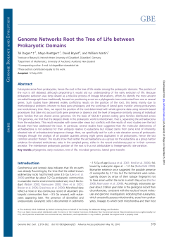 Genome Networks Root the Tree of Life between Prokaryotic Domains