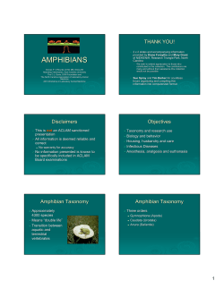 Amphibians - Laboratory Animal Boards Study Group