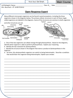 Open Response Expert Main Course