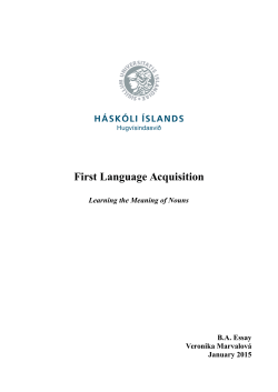 First Language Acquisition