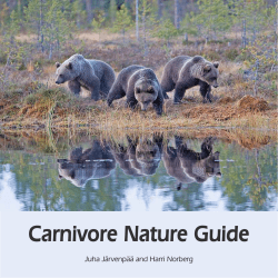 Carnivore Nature Guide