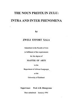 the noun prefix in zulu - University of Zululand Institutional Repository