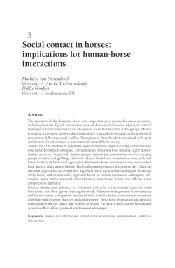 Social contact in horses: implications for human