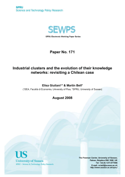 Paper No. 171 Industrial clusters and the evolution of their