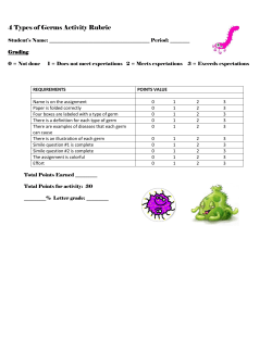 4 Types of Germs Activity Rubric