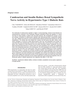Candesartan and Insulin Reduce Renal Sympathetic Nerve