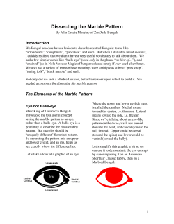 Dissecting the Marble Pattern