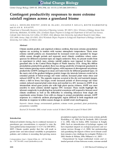 Contingent productivity responses to more extreme rainfall regimes