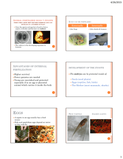 ADVANTAGES OF INTERNAL FERTILIZATION Seeds (seed plants