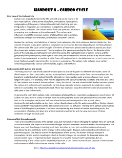 Handout A – Carbon cycle