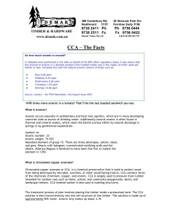 CCA &ndash; The Facts