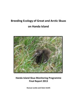 2013 - Handa Island Skua Project
