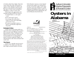 Oysters in Alabama - Alabama Cooperative Extension System