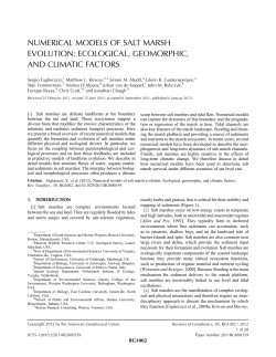 Numerical models of salt marsh evolution