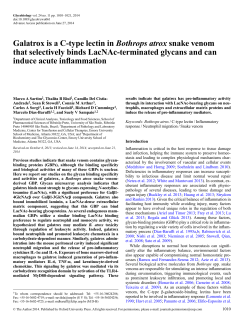 Galatrox is a C-type lectin in Bothrops atrox snake venom that