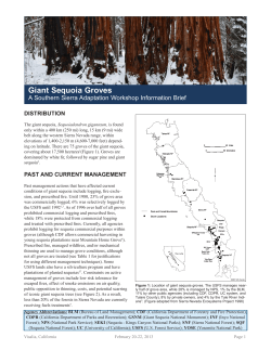 Giant Sequoia Groves - California Climate Commons