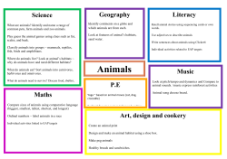 Animals - Pictor Academy