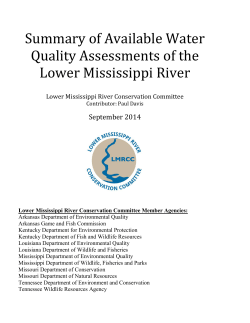 Summary of Available Water Quality Assessments of the Lower