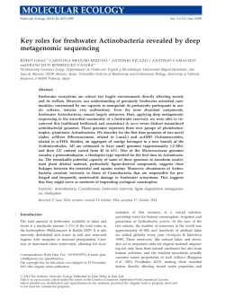 Key roles for freshwater Actinobacteria revealed by deep
