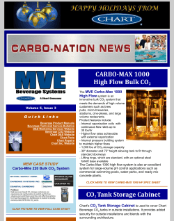 CARBO-MAX 1000 High Flow Bulk CO2 CO2 Tank Storage Cabinet