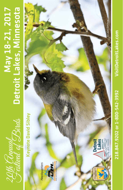 Festival of Birds program