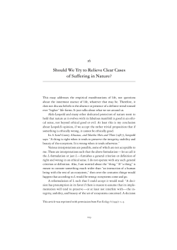 Should we try to relieve clear cases of suffering in nature