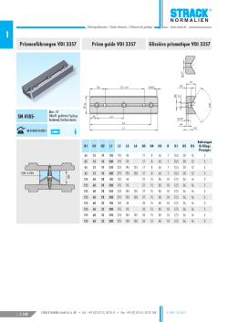Prismenf&uuml;hrungen VDI 3357 Prism guide VDI 3357