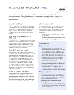 integrated pest management: ants - California Childcare Health