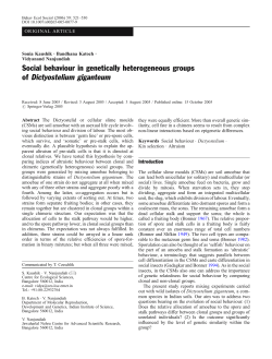 Social behaviour in genetically heterogeneous groups of