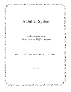 A Buffer System