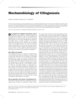 Mechanobiology of Ciliogenesis