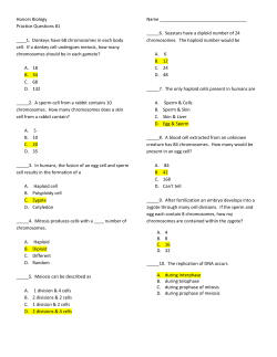 Questions 1