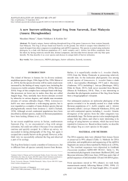 A new burrow-utilising fanged frog from Sarawak, East Malaysia