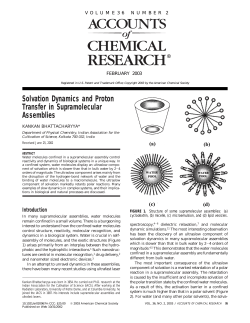Solvation Dynamics and Proton Transfer in Supramolecular