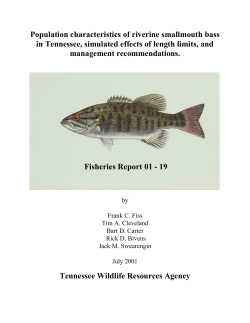 Population characteristics of riverine smallmouth bass