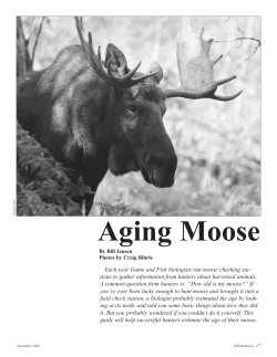 Aging Moose - All-About