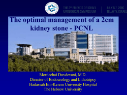The optimal management of a 2cm kidney stone - PCNL