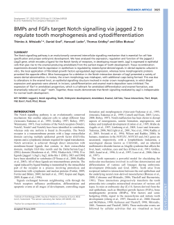 BMPs and FGFs target Notch signalling via jagged 2 to regulate