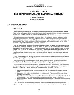 LABORATORY 7 ENDOSPORE STAIN AND BACTERIAL MOTILITY