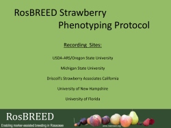RosBREED Strawberry Traits
