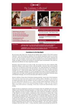Newsletter - Feb/10 - The Lusitano Collection