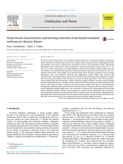 Flame brush characteristics and burning velocities of premixed