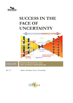 success in the face of uncertainty - Project database